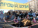 12.02.2007 Митинг ВИТЫ "Прощай, шуба!"- похороны шубы прошли сегодня в Москвe Фотогалерея.