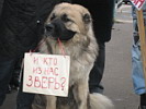 Фото с митинга у черемушкинского суда - дело Рыжика. 